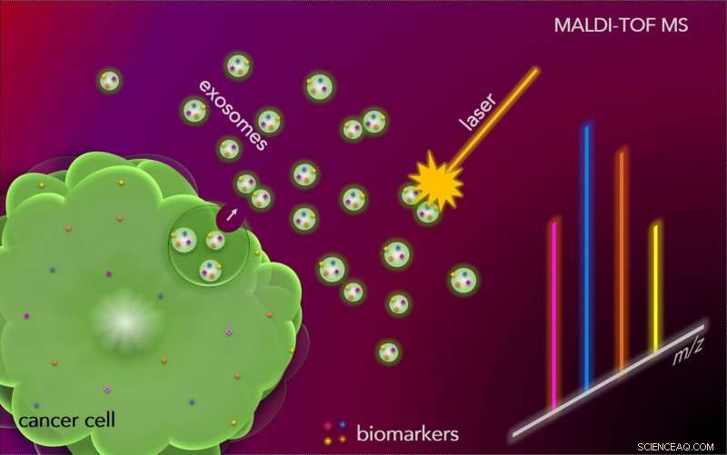 New Study Reveals Cancer Cells Communicate Across the Body via Exosomes