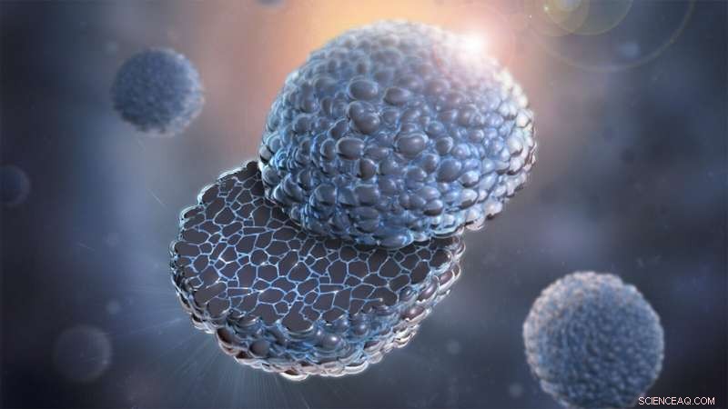 Revolutionary Coating Enhances Lithium Battery Performance and Safety