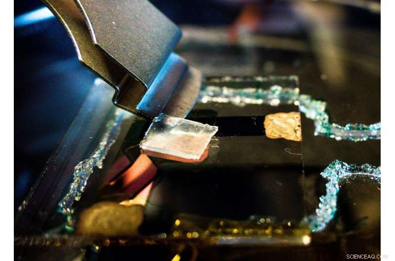 Innovative Multisensory Sensor Mimics Human Skin for Light, Heat, and Touch Detection