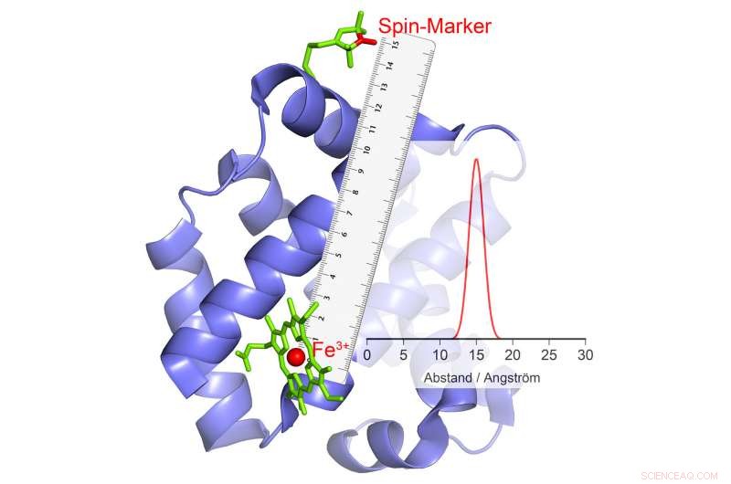 Revolutionary Technique Lets Scientists Capture Enzymes in Action