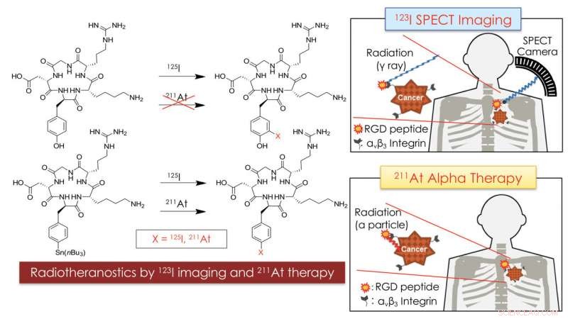 Optimizing Tumor Diagnosis & Therapy with At‑211 and I‑123 Radioisotope Pairing