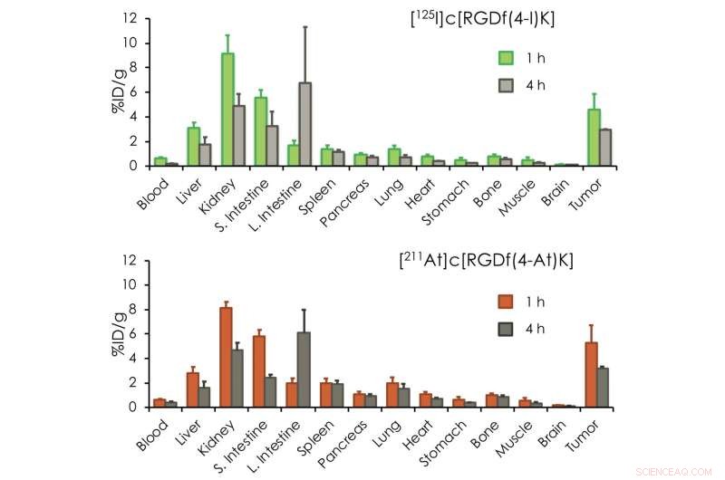 Optimizing Tumor Diagnosis & Therapy with At‑211 and I‑123 Radioisotope Pairing