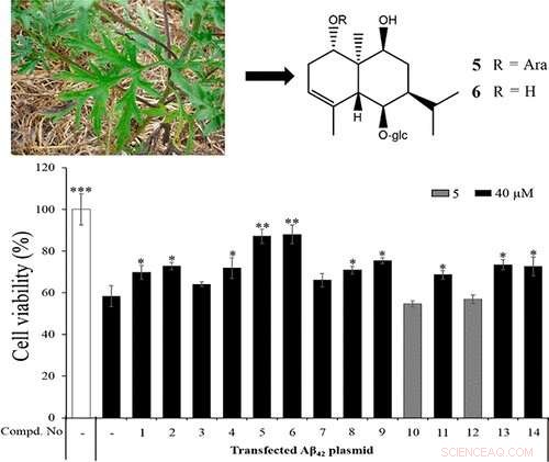 Ragweed-Derived Compounds Show Promise in Protecting Nerve Cells Against Alzheimer s
