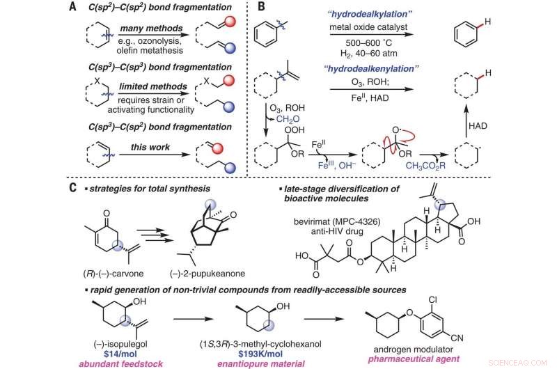 Efficient Cleavage of Pendant Olefins from Terpenes via Hydrodealkenylative Fragmentation
