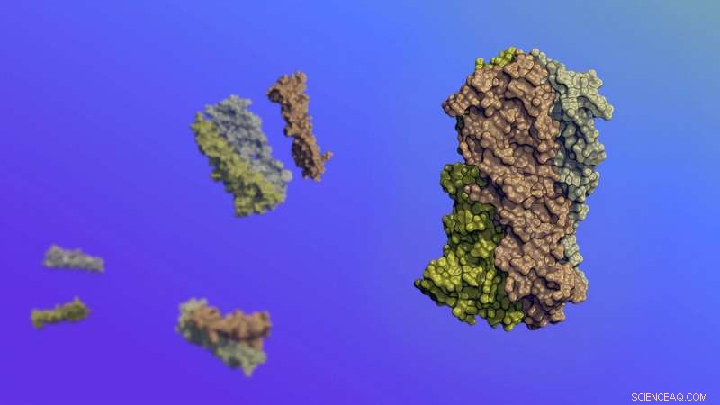 Engineering Precise Nanometer-Scale Biological Movement