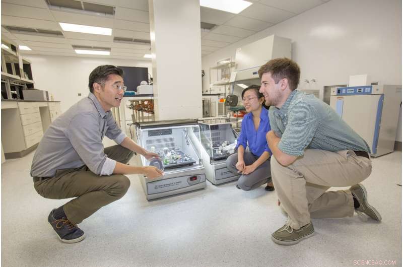 New Breakthrough: Scientists Unveil Technology to Capture Tumor Cells