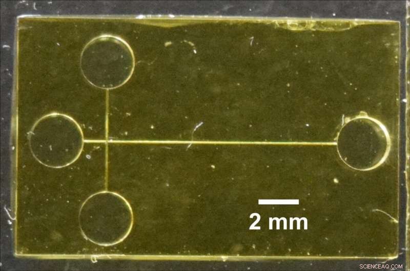 Innovative 3‑D‑Printed Microchip Detects Preterm Birth Biomarkers Early