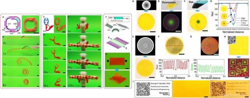Advanced 3‑D Grayscale Digital Light Printing for Highly Functionally Graded Materials