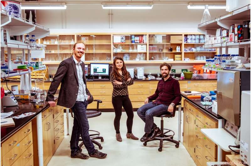 Researchers pioneer molecular tethers and chemical light sabers to build precision tissue engineering platforms