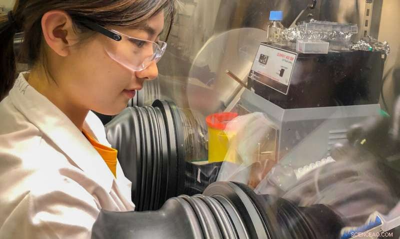 Quantum Dots Boost Stability of Perovskite Solar Crystals