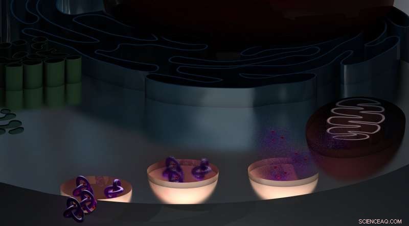 Hybrid Molecules: A Promising New Class of Anti‑Cancer Agents