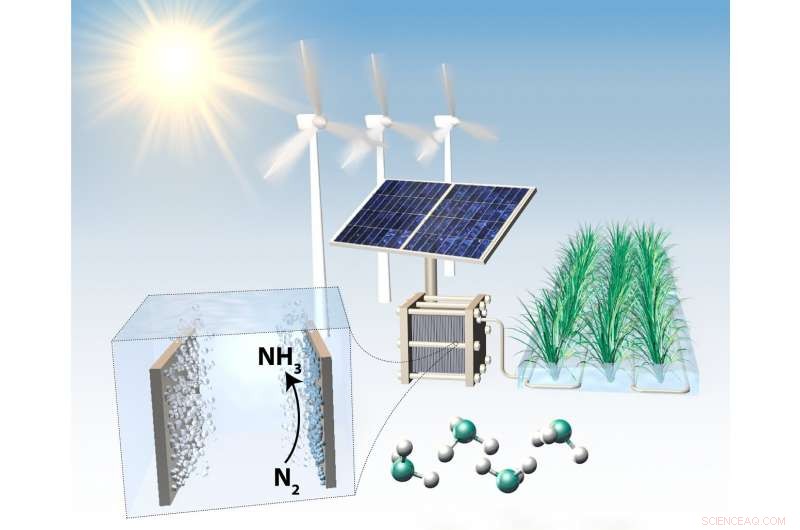 Ensuring Reliability in Electrochemical Ammonia Production: The Need for Rigorous Procedures