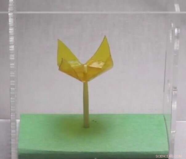 Water‑Powered Soft Actuators: The Next Frontier in Robotics