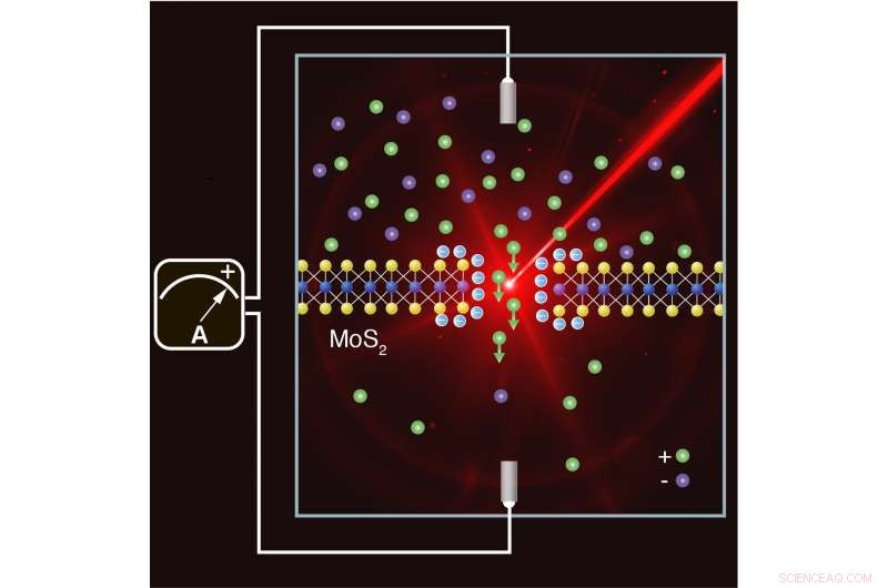 Harnessing Estuary Energy: Light‑Driven Osmotic Power Generation