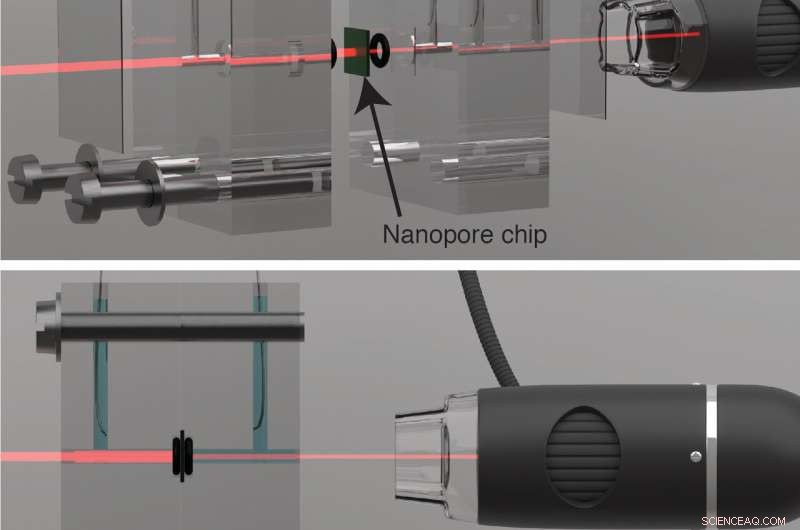 Harnessing Estuary Energy: Light‑Driven Osmotic Power Generation
