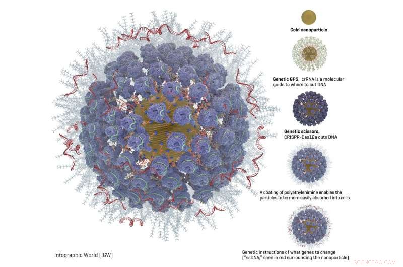 Gold Nanoparticles: A Potential Path to Affordable Gene Therapy for HIV and Blood Disorders