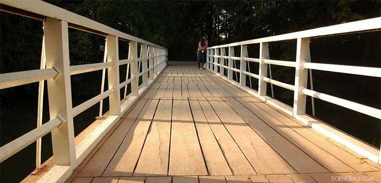 Innovative Model Forecasts Wood Behavior Under Temperature and Humidity Variations