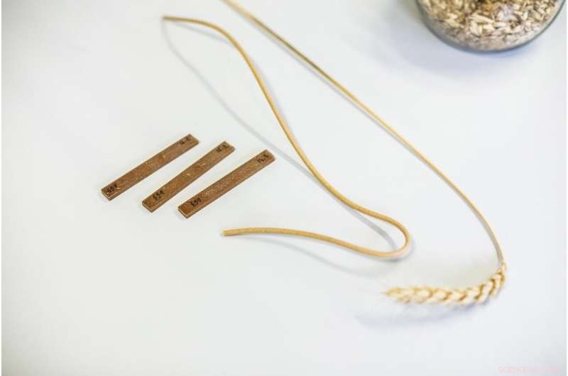 New Bioplastic Packaging Degrades in 2 Years—A Breakthrough by Lithuanian Scientists