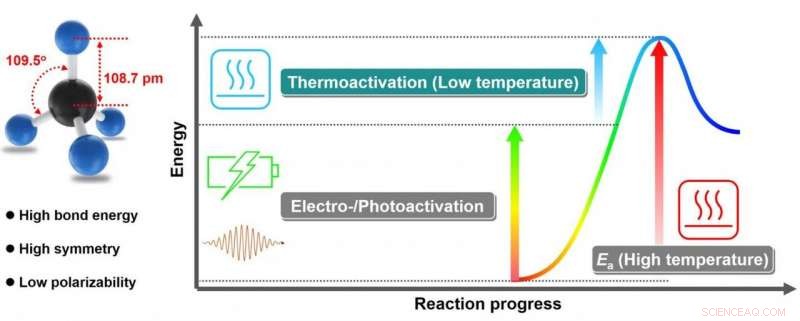 Mild-Condition Methane Conversion: A Comprehensive Review of Thermo-, Electro-, and Photocatalytic Approaches