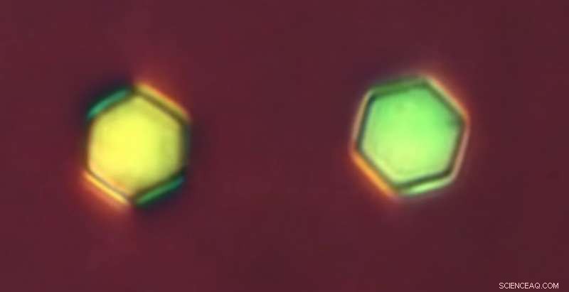 Scientists Pioneer On-Demand Creation of Custom Large Atoms