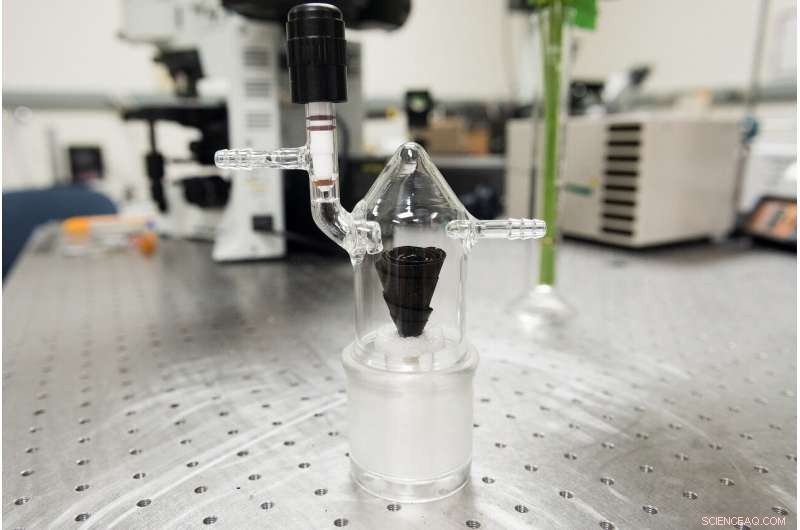 How a Rose Inspires Innovative Water Collection & Purification Technology