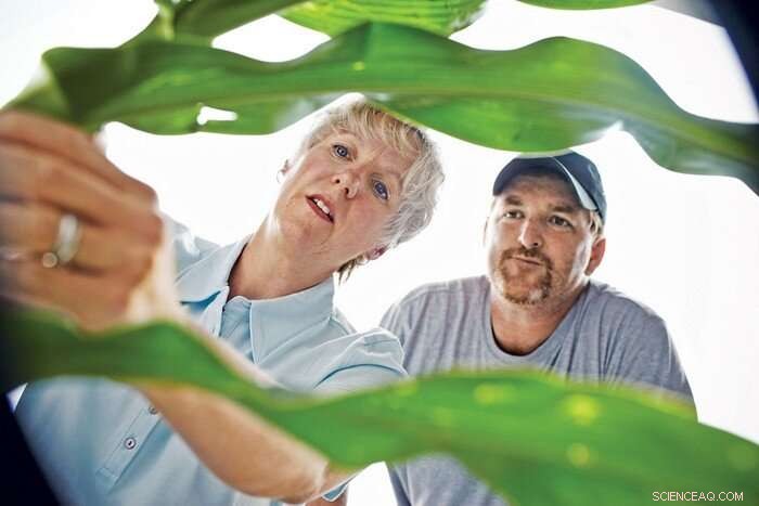 Food Brands Partner with Farmers to Boost Soil Health