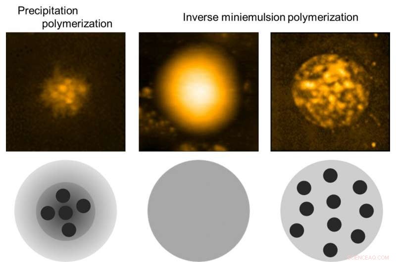 Unveiling Microgel Mysteries: Advanced Insights into Their Structure and Function