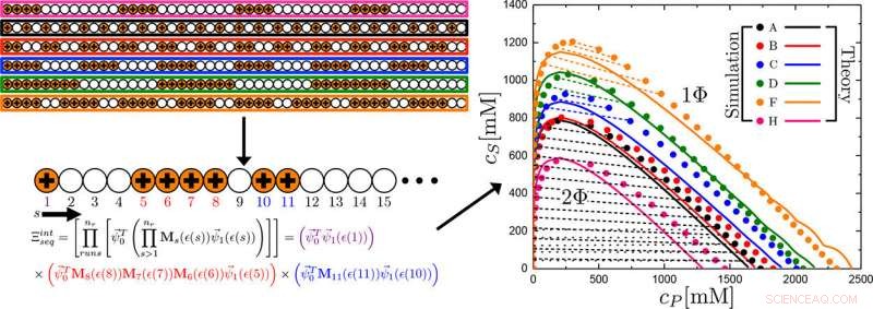 New Method Enables Precise Prediction of Disordered Polymer Properties