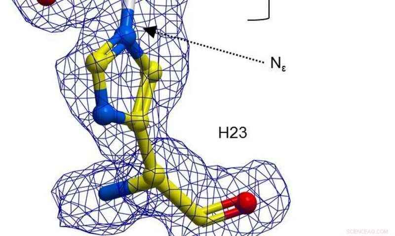 Scientists Expand Enzyme Catalytic Range, Paving the Way for Green Chemistry