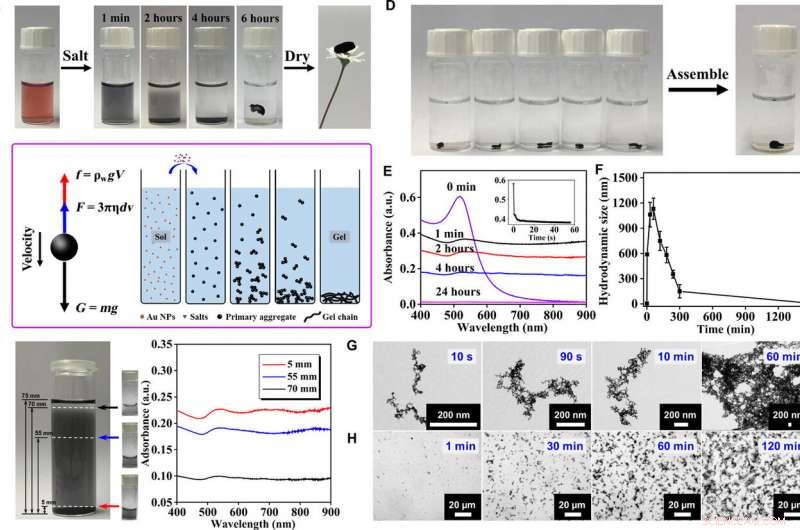 Guiding Noble Metal Aerogel Formation with Specific Ions