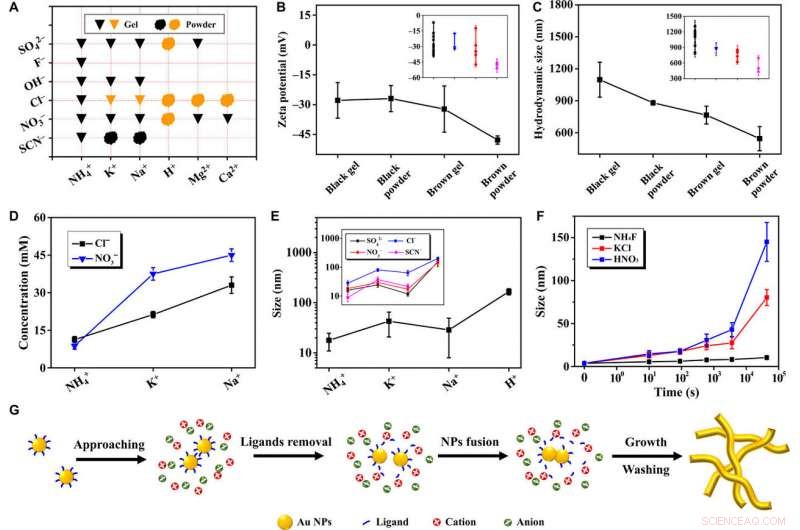 Guiding Noble Metal Aerogel Formation with Specific Ions