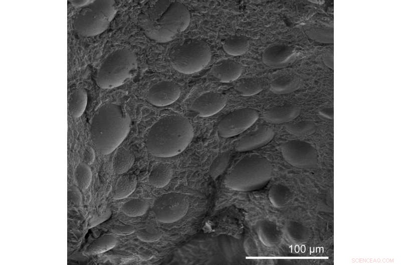 Innovative Polymer Offers Hope Against PFAS Pollution