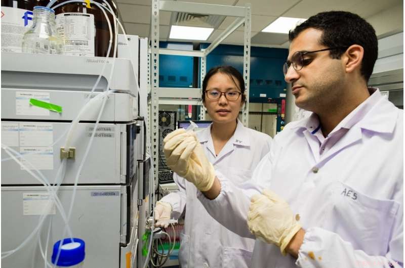 Scientists Reveal the Binding Mechanism Behind Protein Superglue