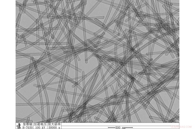 Polar Bear‑Inspired Carbon Aerogel: A New Frontier in Thermal Insulation