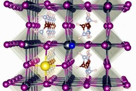 Comprehensive Energy Level Chart for Primary Metal‑Halide Perovskites