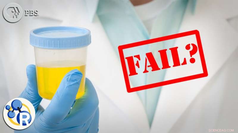 Can CBD Consumption Result in a Failed Drug Test?
