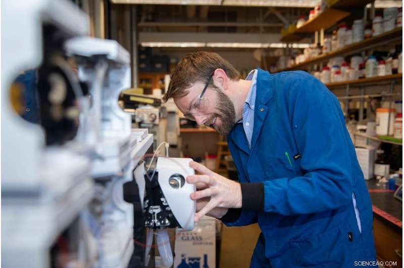 Molecular Data Storage Could Preserve Cat Videos for Millennia