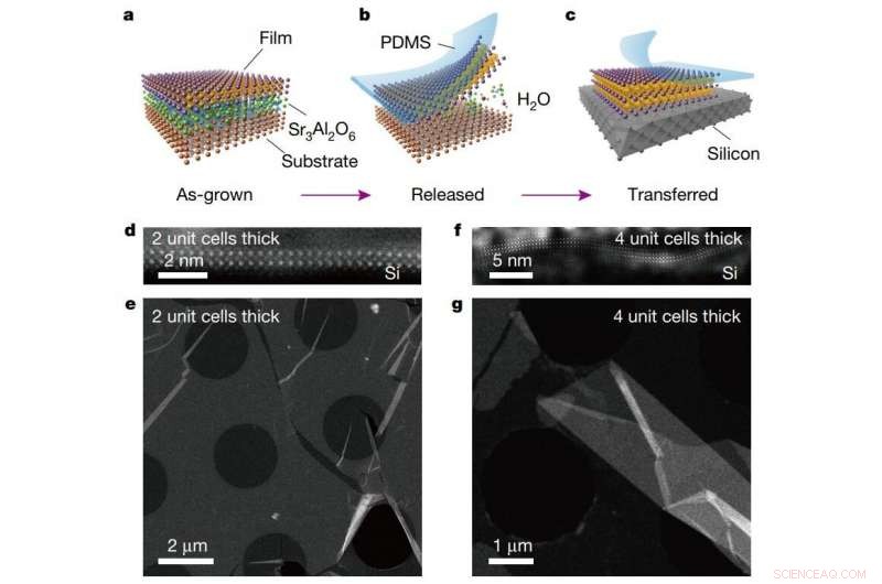 Breakthrough: Scientists Develop Method for Producing Freestanding Perovskite Oxide Films