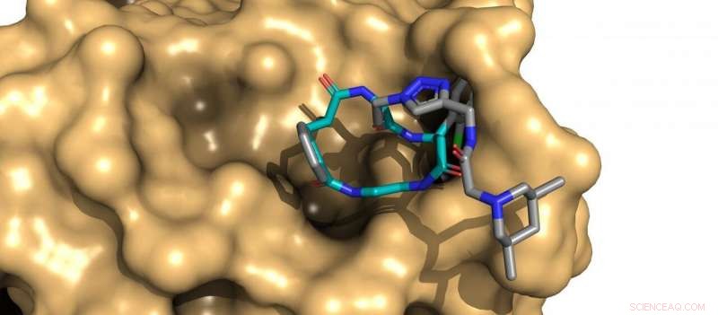 Harnessing Nature s Bounty: Innovative Libraries for Drug Discovery