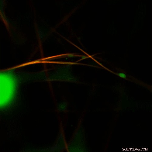 Efficient Oil Removal from Contaminated Water Using Advanced Filtration Technology