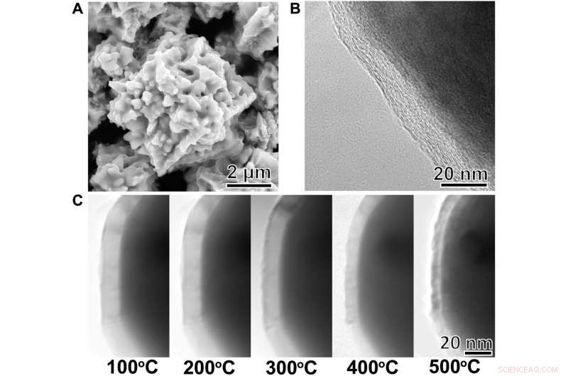 Graphene-Enhanced Nickel Composites: A Bioinspired Approach