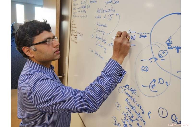 Light-Driven Nano-Organisms Convert CO2 into Sustainable Plastics and Fuels