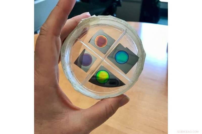 Affordable Home Diagnostics Powered by iPhone and Nanoscale Porous Silicon