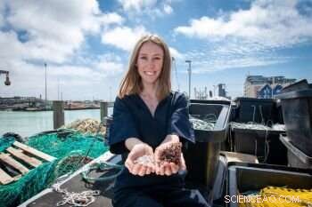 Innovative Bioplastics from Fish Skins and Algae Offer a Solution to Plastic Pollution