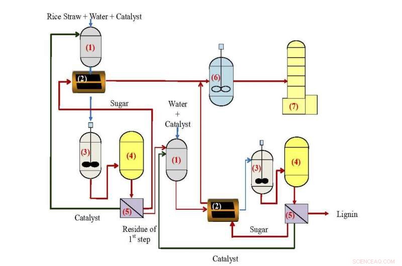 Researchers Develop Two-Step Process to Convert Rice Straw into Sustainable Biofuel
