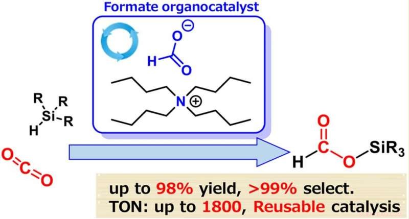 Metal‑Free, Sustainable Catalysts for Efficient CO₂ Reduction