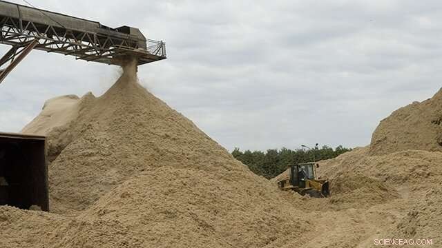 Engineered Enzyme Boosts Second-Generation Ethanol Yield