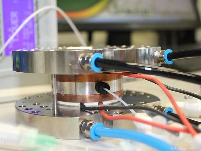 Innovative Crystallization Chamber Developed for Large Protein Crystal Growth