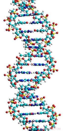Revealing a Simple Prebiotic Pathway That Could Have Produced DNA on Early Earth
