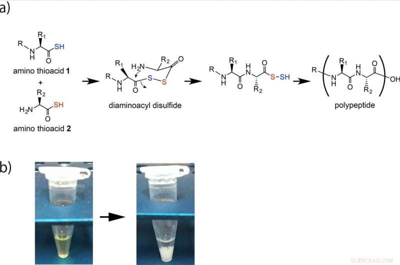 Artificial Peptide Bond Formation Sheds Light on the Origin of Life